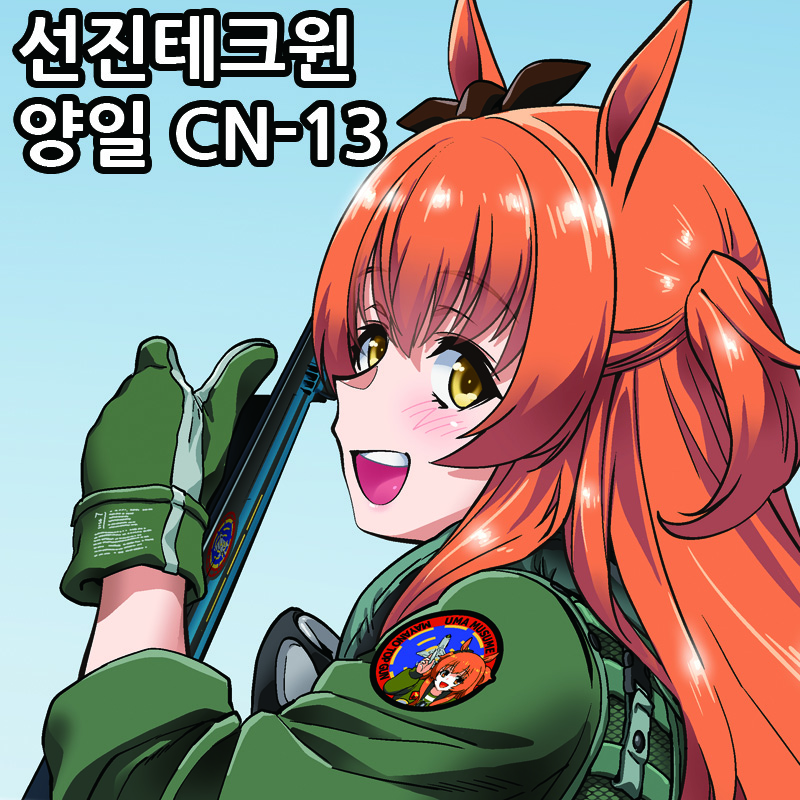 9코/양일CN-13/선진테크윈