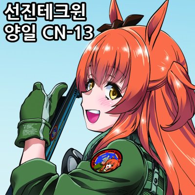 9코/양일CN-13/선진테크윈