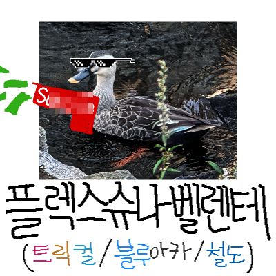 플렉스슈나벨렌테 (트릭컬·블아·철도)