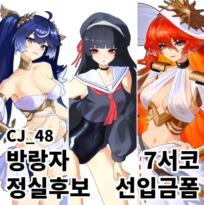 방랑자 정실후보