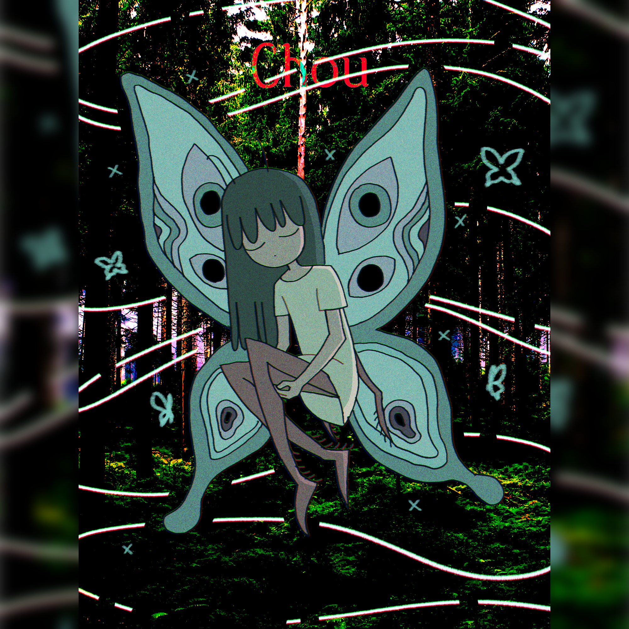 The Aurita