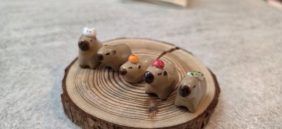 카피바라