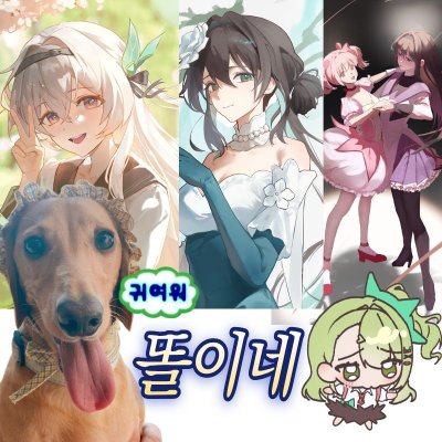 스타레일 젠존제 마마마
