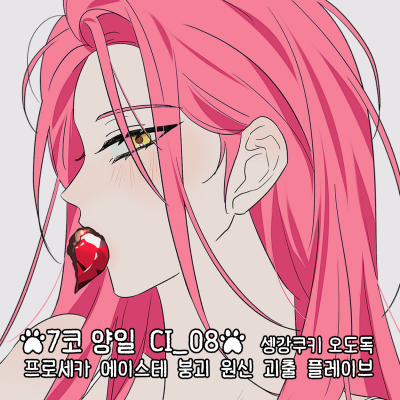 원신, 붕괴, 괴출, 프로세카, 에이스테, 플레이브 - 셍강쿠키 오도독