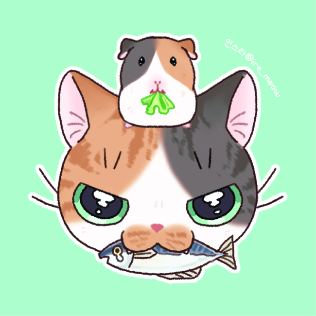 [이레] 인스타 @ire_meow