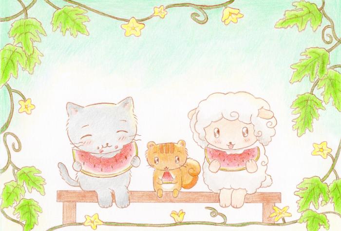 수박 엽서