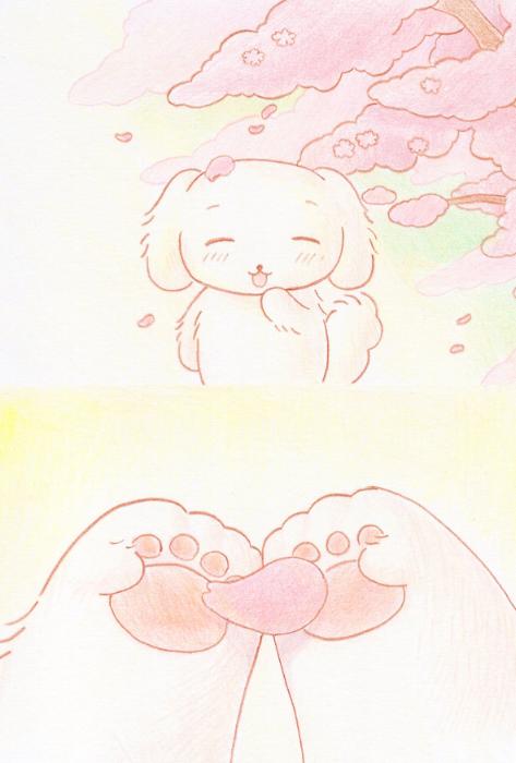 벚꽃 엽서