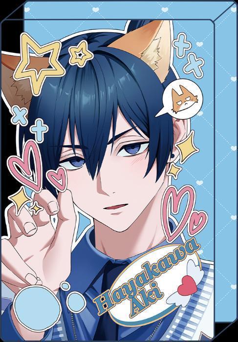 쉐이커 여우 아키