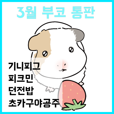 퍼깍소 부스 통판 !