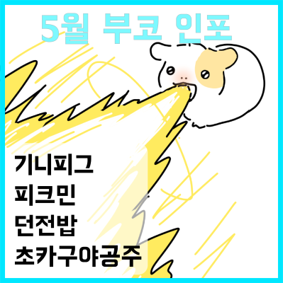 기니기니빔 인포 입니다